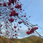度假居 Bryziowka