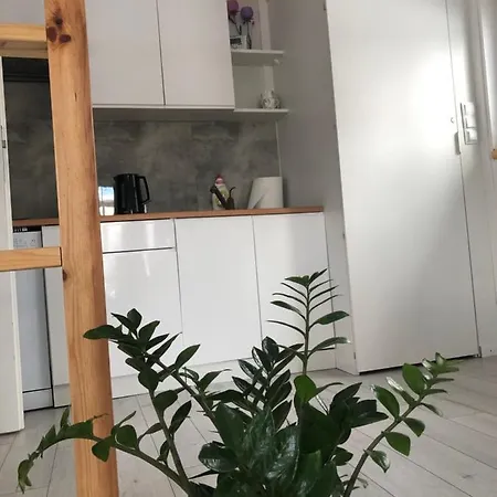 Bryziowka بيت للعطل