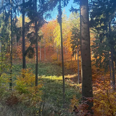 Bryziowka *