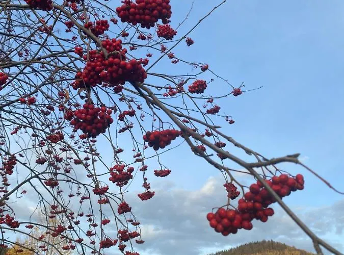 Сasa de vacaciones Bryziówka